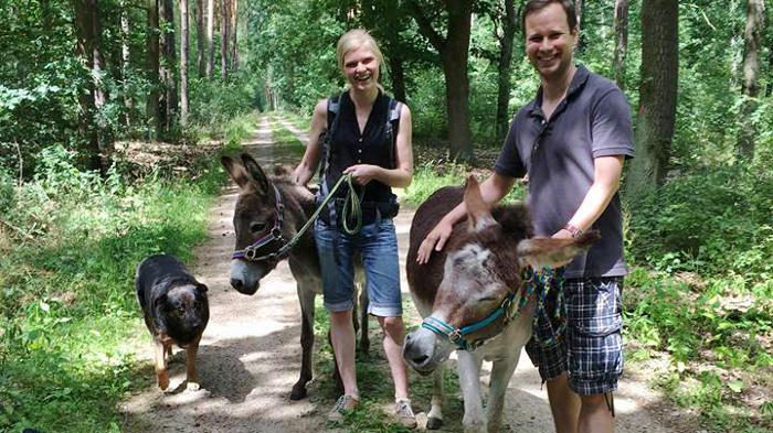 Eseltrekking beim Eselfreunde im Havelland e. V.