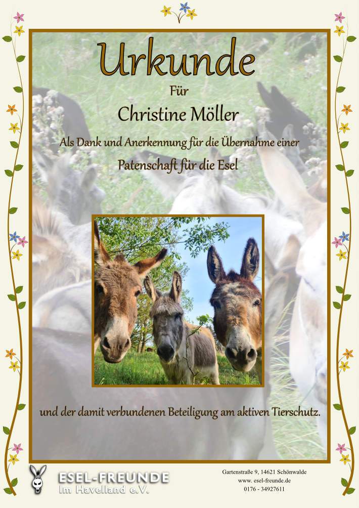 Patenschaftsurkunde - Standard - Eselfreunde im Havelland e. V., Brandenburg - Eselwandern, Eselkurs