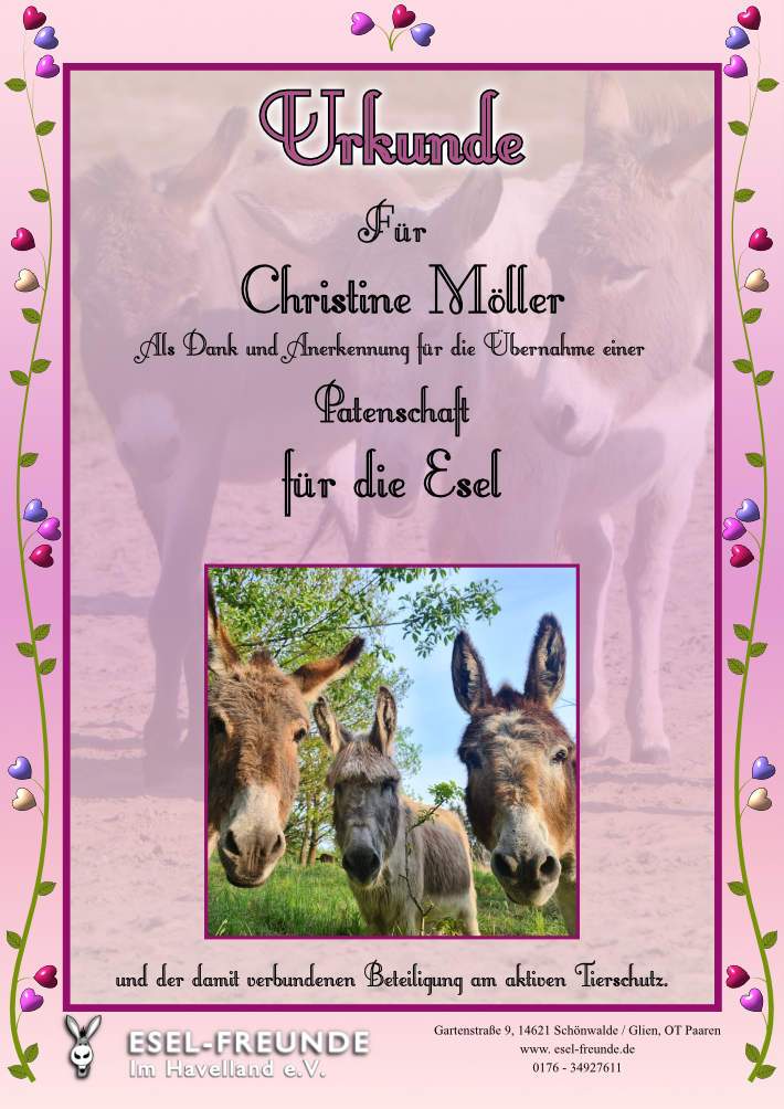 Patenschaftsurkunde - Rosa - Eselfreunde im Havelland e. V., Brandenburg - Eselwandern, Eselkurs