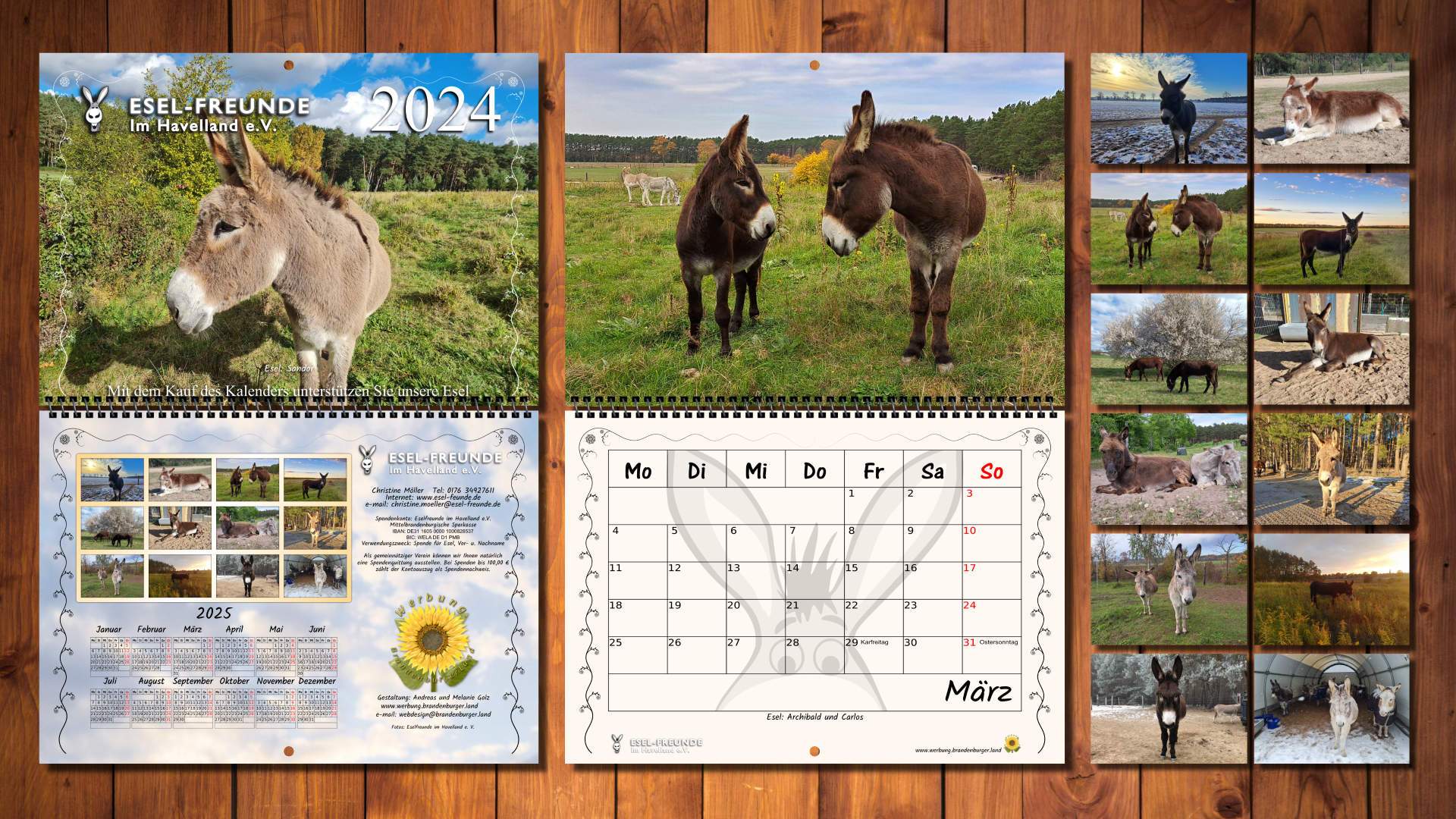 Esel-Workshop | Eselfreunde - Eselkalender 2023